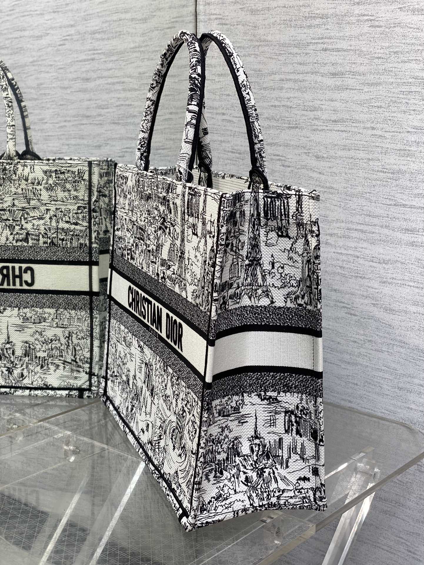 Large Dior Book Tote Bag White and Black Paris Allover Embroidery